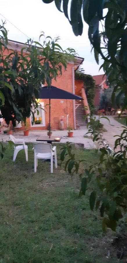 Il Glicine Bed & Breakfast Chieti Bagian luar foto