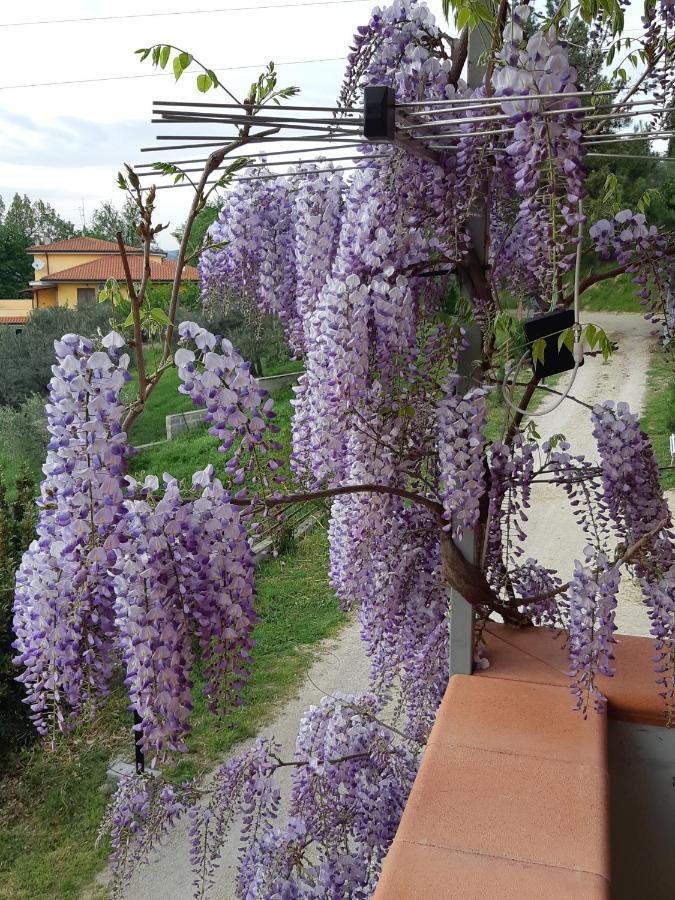 Il Glicine Bed & Breakfast Chieti Bagian luar foto
