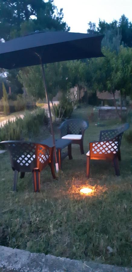 Il Glicine Bed & Breakfast Chieti Bagian luar foto
